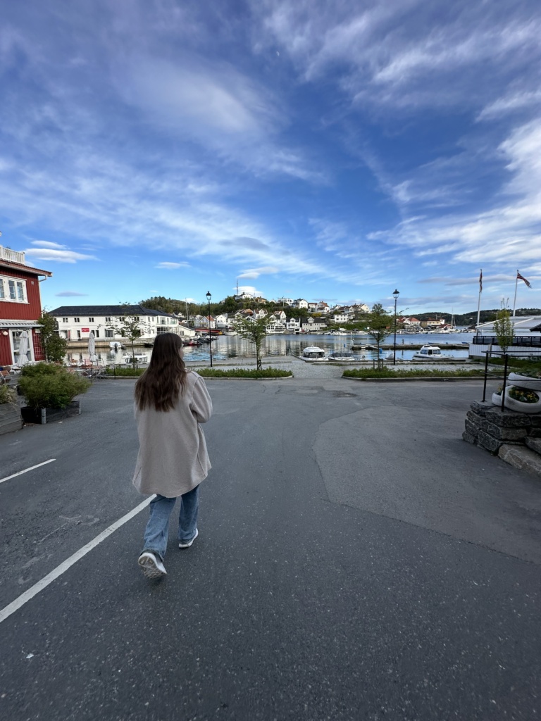 Telemark-ekspressen: En uke med buss, fugler og solskinn